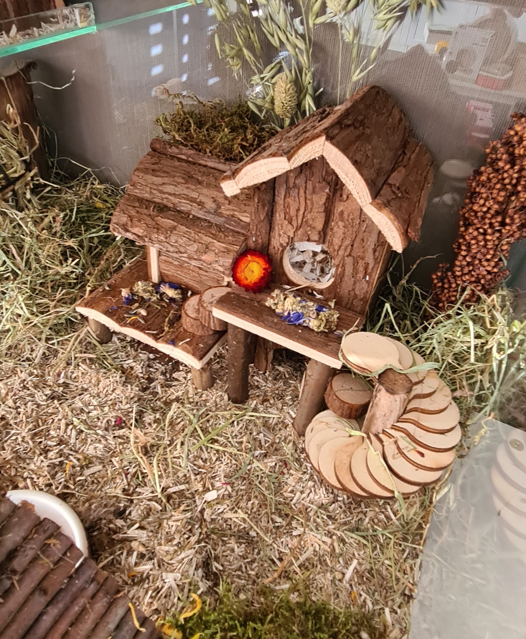 Huisjes voor Knaagdieren